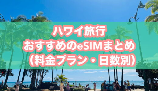 【2026年版】ハワイ旅行におすすめのeSIM10選をランキング＆最安値で比較│料金プラン・日数別にくわしく紹介