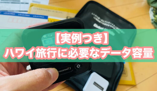 【実例つき】ハワイ旅行に必要なeSIM・レンタルWi-Fiのデータ容量（データ通信量）はどのくらい？