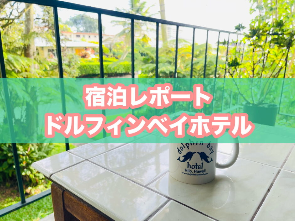 ドルフィンベイホテルのアイキャッチ画像
