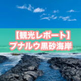 プナルウ黒砂海岸（プナルウブラックサンドビーチ）のアイキャッチ画像
