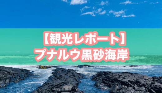 【観光レポ】プナルウブラックサンドビーチ（プナルウ黒砂海岸）｜ウミガメに会えなくても行く価値アリ！