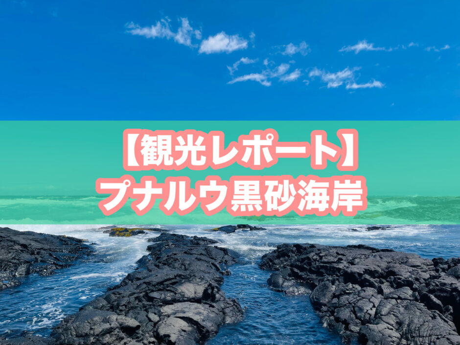 プナルウ黒砂海岸（プナルウブラックサンドビーチ）のアイキャッチ画像