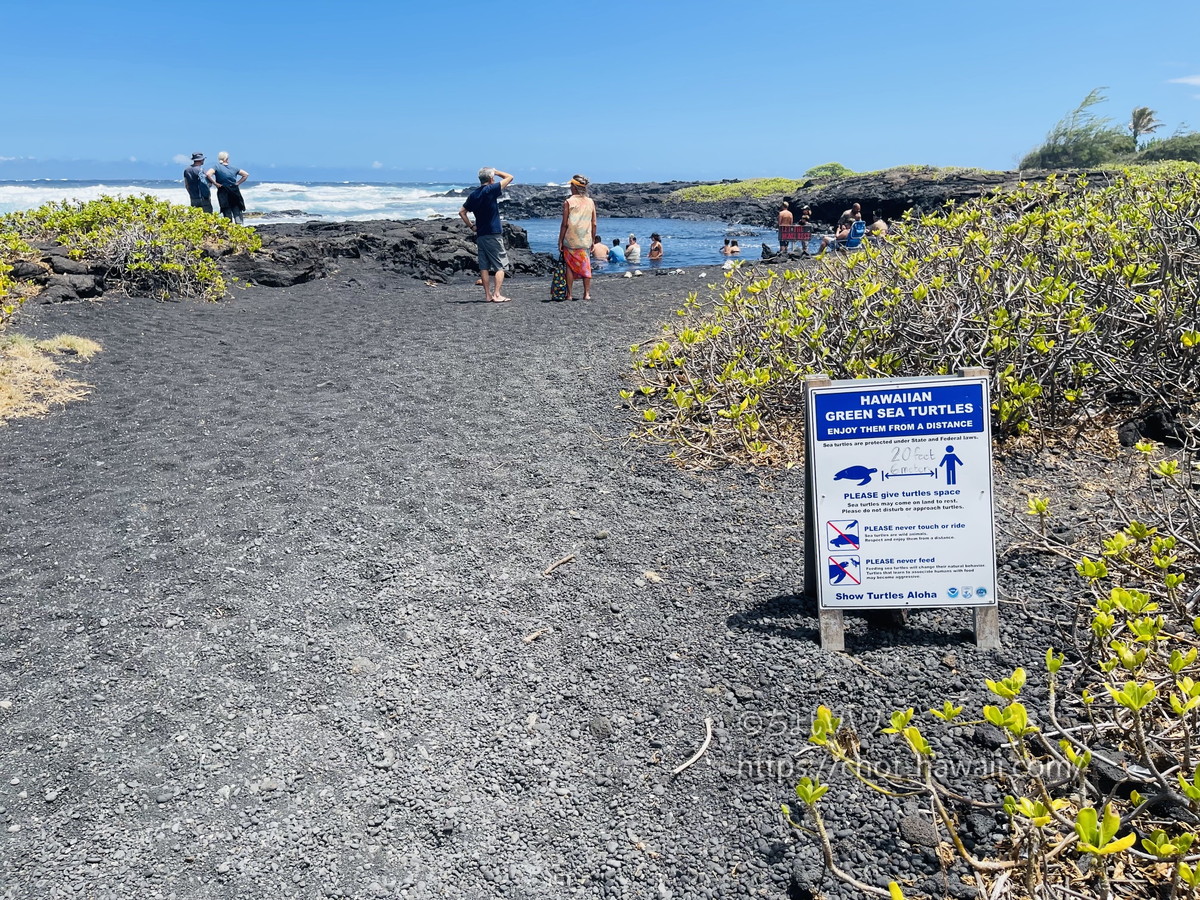 プナルウブラックサンドビーチ（プナルウ黒砂海岸）のウミガメの注意案内