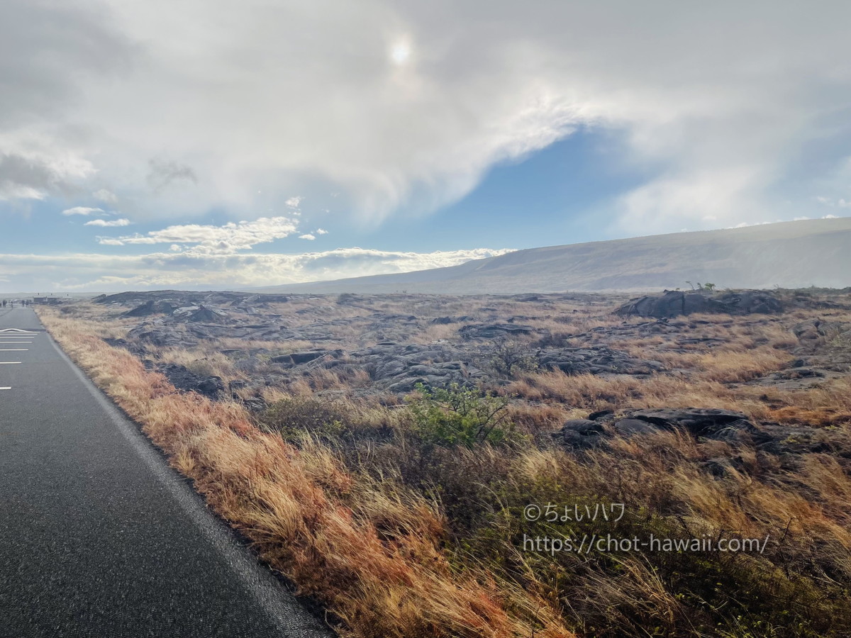 ハワイ火山国立公園（ボルケーノ）のチェーン・オブ・クレーターズ・ロードの終点横の草原エリア