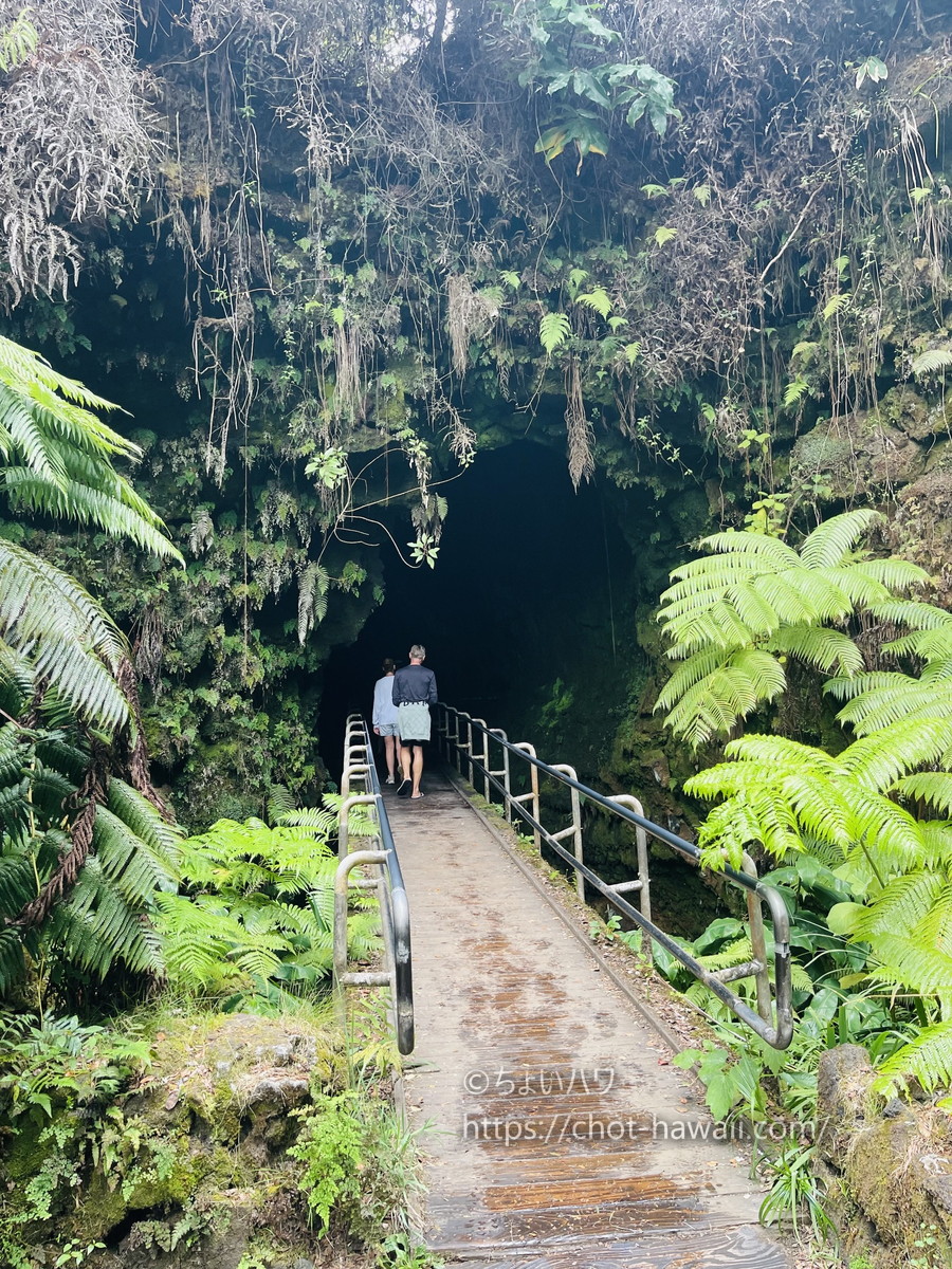 サーストン・ラバチューブ（ハワイ火山国立公園）の洞窟前の橋