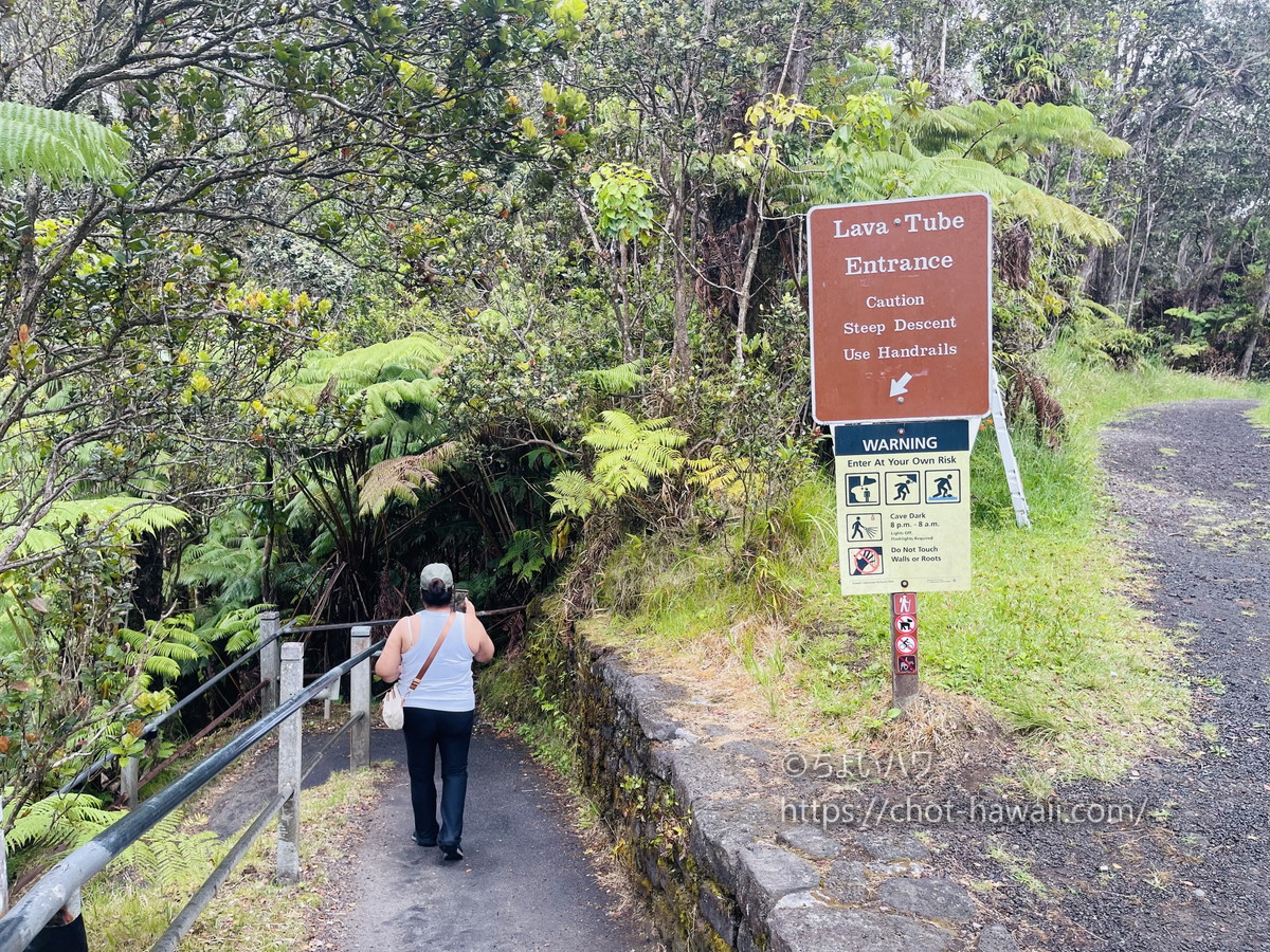 サーストン・ラバチューブ（ハワイ火山国立公園）の洞窟への入口